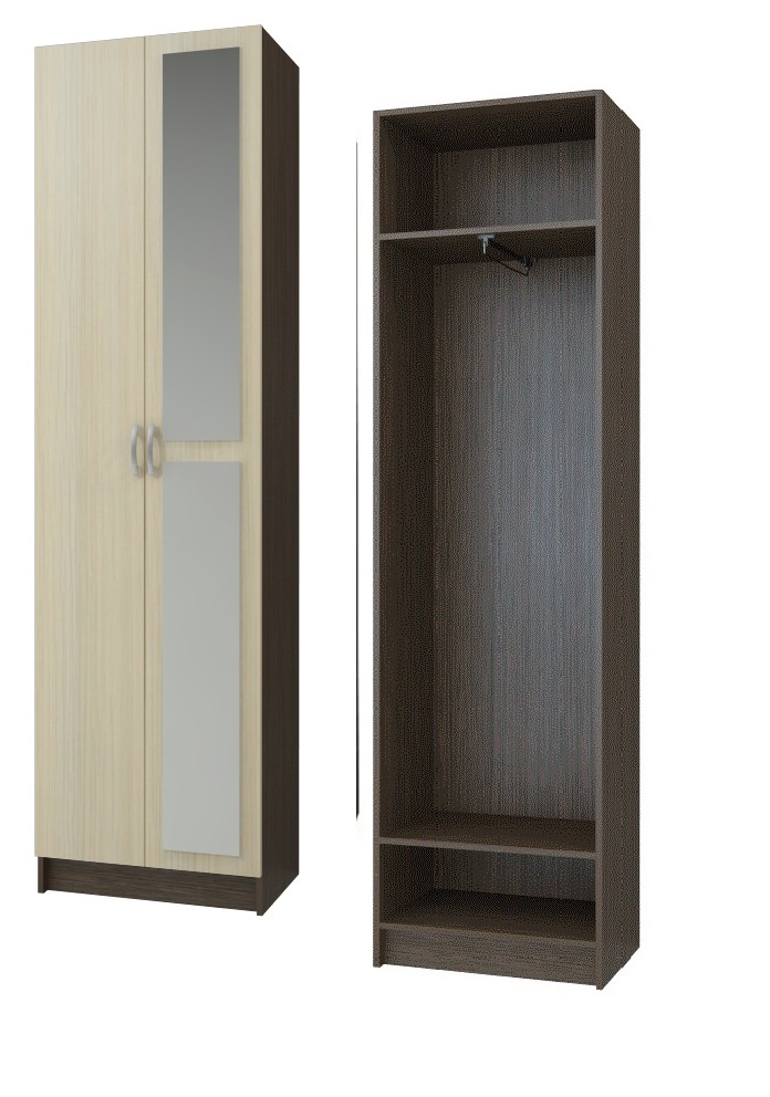 Шкаф ШК-2 с зеркалом Вега Интерьер центр